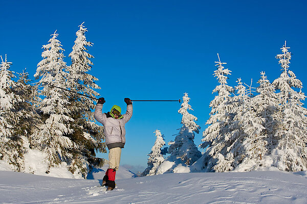 Winterwandern im Bayerischen Wald